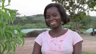 Integrated Farm Management in Africa [upl. by Atnwahsal754]