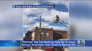 Momma The Cat Rescued From Atop Pole By Verizon Employee In Port Richmond [upl. by Derdlim]