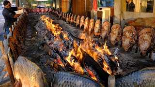 Amazing Iraqi Style Grilled Fish Around Charcoal and wood Fire  ErbilKurdistan Street Foods [upl. by Neelhsa113]