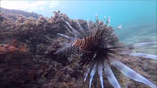 Snuba Diving in San Juan Puerto Rico [upl. by Eecram2]