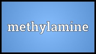 Methylamine Meaning [upl. by Peters]