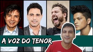 TIPOS DE VOZ A VOZ DO TENOR [upl. by Llenrev743]