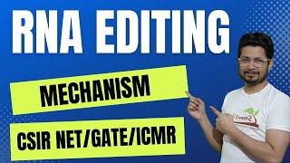 RNA editing  mRNA editing mechanism  eukaryotic rna processing  c to u [upl. by Salokin973]