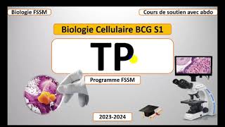 Biologie Cellulaire BCG S1  Partie Travaux Pratique TP FSSM [upl. by Elenaj]