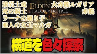 【ELDENRINGエルデンリング】 DLC まだまだ探索する所いっぱいありそう編 [upl. by Araminta]