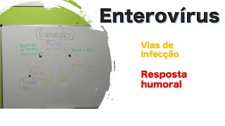 Enterovirus  Curso de virologia  Medicina passo a passo [upl. by Nerua]