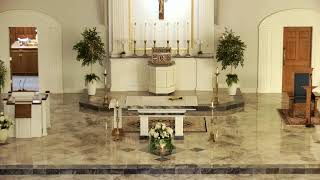 June 28 2024 Daily Mass [upl. by Mccourt]