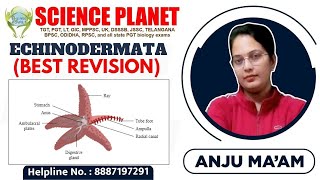 ECHINODERMATA II BEST REVISION II BY ANJU MAM [upl. by Peckham]