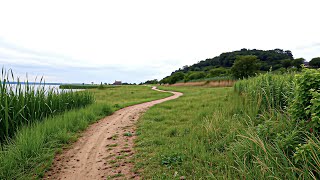 Discover the Tranquil Beauty of Chinas Hidden Lakeside Village  Peaceful Walk by Fuxian Lake [upl. by Adnahsed]