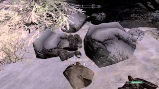 Skyrim Secret Chest in Dawnstar [upl. by Irneh806]