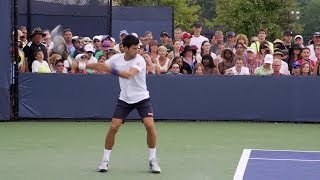 Novak Djokovic Ultimate Compilation  Forehand  Backhand  Overhead  Volley  Serve  2013 Cincinn [upl. by Nido]