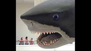 Megalodon worlds biggest shark [upl. by Conni]