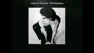 ADAM AND THE ANTS tabletalk Peel Session 1979 [upl. by Saucy309]