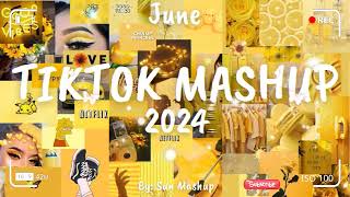 Tiktok Mashup June 💛2024💛 Not Clean [upl. by Aicilegna971]