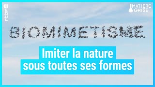 Biomimétisme ou imiter la nature à tout prix ⌚  Matière Grise [upl. by Eelanej165]