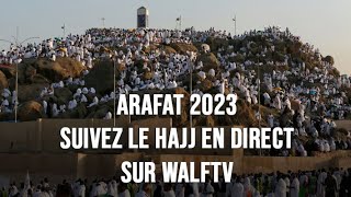 Arafat 2023  Suivez le Hajj en Direct sur WalfTV avec Oustaze Assane Diouf [upl. by Phemia]