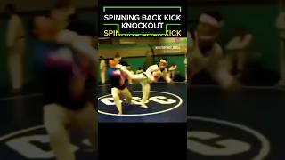 Spinning Back Kick ll Knockout ✨🥋 phonk dhorts anime mma kungfu martialarts karate ufc [upl. by Demetra42]