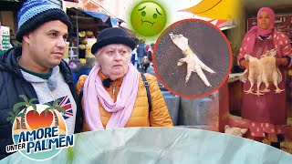 Kulturschock in Marokko 😳 Azdim zeigt Beate amp Sylvia den Markt 🐔🤢  Amore unter Palmen  ATV [upl. by Waine]