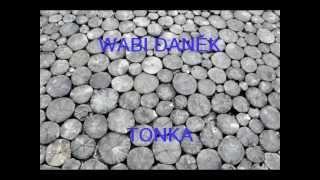 WABI DANĚK TONKA [upl. by Ramirol]