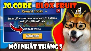 Tổng Hợp 20 Mã CODE X2 Kinh Nghiệm Và Reset Chỉ Số STATS Mới Nhất Tháng 3 Trong Blox Fruit  Roblox [upl. by Ertemed875]