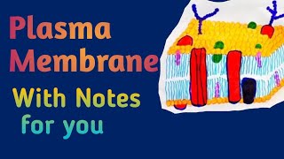 Plasma Membrane Lecture2  Cell  Biology  FSC 1st year MedicalMedicos [upl. by Suollecram]