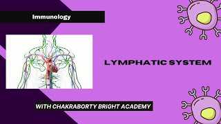 Lymphatic System [upl. by Wei605]