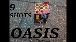 OASIS vuurwerk cake 9 shots NIEUW 2017 [upl. by Enajiram]