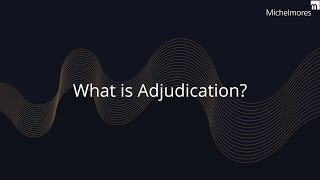 What is Adjudication [upl. by Joaquin]