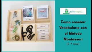 Lenguaje y vocabulario en el Método Montessori  TUTORIAL 37 años [upl. by Lucy]