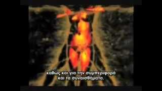 Kymatica Full Movie Greek Subtitles [upl. by Nicolina]