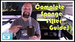 Fish Tank Sponge Filters Everything You Need to Know Assembly  Placement  Flow and More [upl. by Aliuqa]