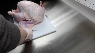 Sous Vide WHOLE Turkey [upl. by Rustice]