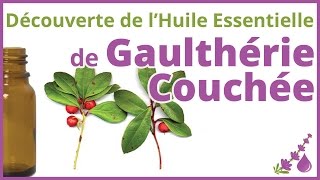 Gaulthérie Couchée  LHuile Essentielle du Sportif 💃🏻🏋🏻🚴🏻‍♀️  Dr Françoise Couic Marinier [upl. by Calise]