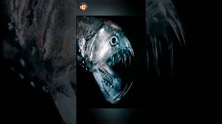 Viperfish in deep sea 😮 short viperfish [upl. by Vaughan117]