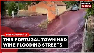 Portugal Wine River  Over 2 Million Litres Of Wine Flow Down The Streets In Portugal  Viral Video [upl. by Nibor]