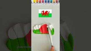 When I Mixing Color 🏴󠁧󠁢󠁷󠁬󠁳󠁿 satisfying colormixing flagmixing colors stateflags asmr shorts [upl. by Haropizt]