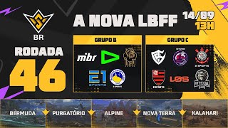 A NOVA LBFF🚨FFWS BR 🏆RODADA 46  GRUPOS B e C  LBFF 🚨 FREEFIRE [upl. by Ayiak]