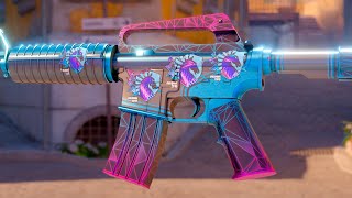 M4A1S Decimator Sticker Combos  CS 2 [upl. by Assiral]