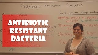 Antibiotic Resistant Bacteria [upl. by Jonna]