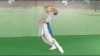 Shaolin Kung Fu Combat Styles 18 drunken form 醉拳 zui quan [upl. by Allecsirp]