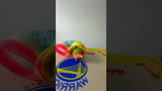 Bird Training  Smart lovebird Parrot  Smart Little Cute Parrot training smartparrot cute [upl. by Ennaid]