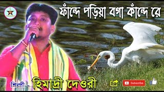 Fande Poriya Boga Kaande Re  ফাঁন্দে পরিয়া বগা কাঁন্দে রে  আব্বাসউদ্দীন আহমেদ । Himadri Dewri [upl. by Lyns]