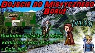 PORADNIK quotDojście oraz Opis Mapkiquot Mistyczny Bór 12133 [upl. by Broderic]