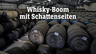 WhiskyBoom mit Schattenseiten  SPIEGEL TV für ARTE Re [upl. by Rosane31]