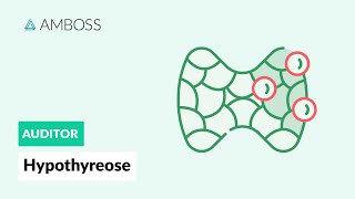 Hypothyreose  Interpretation der Laborwerte  AMBOSS Auditor [upl. by Fruma]