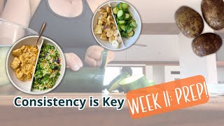 Consistency is Key with Starch Solution Week 11 Prep [upl. by Olimac]