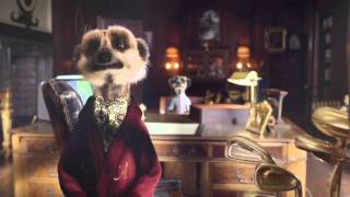 comparethemeerkatcom Tough Decision [upl. by Ahcrop]