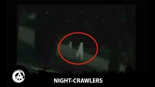 The Fresno Nightcrawlers  Most Convincing Footage of Alien Life Caught on Tape [upl. by Eiznikcm]