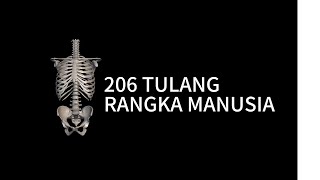 206 Tulang Rangka Manusia [upl. by Lateh465]