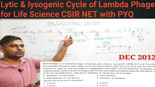 lytic and lysogenic cycle of lamda phage Cro gene  Life sciences CSIR NET JRF [upl. by Iam]